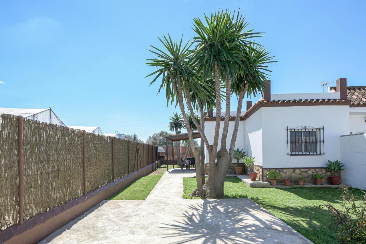 Casa Diego Ferienhaus Conil De La Frontera
